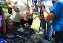 Creepy Creatures on the Lawn at Neal Taylor Nature Center