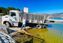Cachuma Lake Trout Release