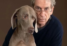 William Wegman: An Introduction to His Art