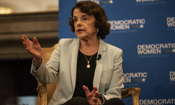 The Poodle Thanks Diane Feinstein: One Small Act of Kindness, Many Staggeringly Great Acts of Congress