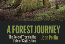 Book Review | ‘A Forest Journey: The Role of Trees in the Fate of Civilization’ by John Perlin