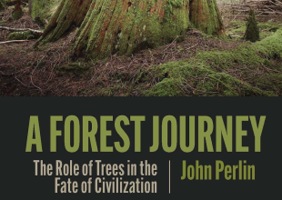 Book Review | ‘A Forest Journey: The Role of Trees in the Fate of Civilization’ by John Perlin