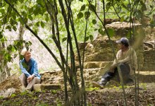 Ancient Maya & Forest: A Co-Creative Landscape