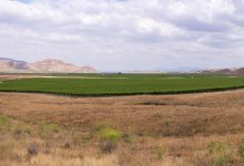 Santa Barbara County Supervisors Decide Cuyama Groundwater Basin Is Half Empty, not Half Full