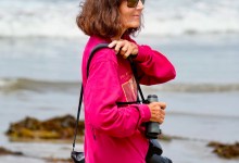 Santa Barbara Audubon Society presents a discussion on Bird Conservation