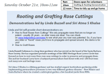 Mesa Harmony Garden – Rooting and Grafting Roses