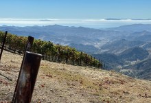 Full Belly Files | Mountain Vineyards in Our Backyard