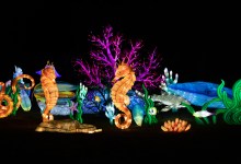 ZooLights Light Up the Night at Santa Barbara Zoo