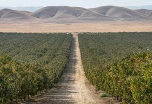 IHC Talk: Mark Arax | The Dreamt Land