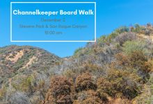 Channelkeeper Board Walk