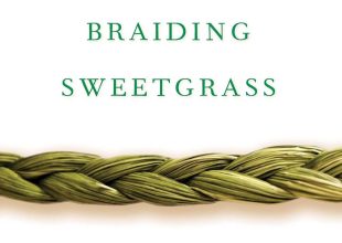 Book Review | ‘Braiding Sweetgrass: Indigenous Wisdom, Scientific Knowledge, and the Teachings of Plants’ by Robin Wall Kimmerer