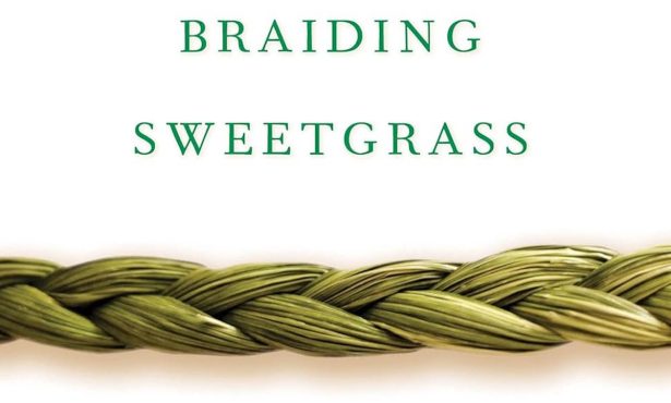 Book Review | ‘Braiding Sweetgrass: Indigenous Wisdom, Scientific Knowledge, and the Teachings of Plants’ by Robin Wall Kimmerer