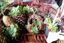 Succulent Wreaths and Ornaments