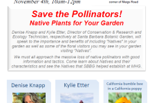 Mesa Harmony Garden – Native Plants for Your Garde