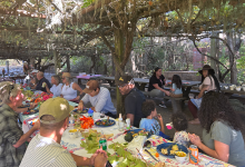 Rounding Up for a Ranch Day