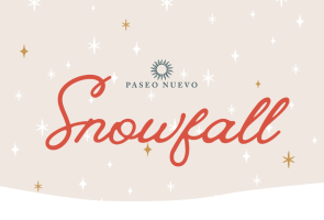 Snowfall at Paseo Nuevo