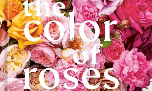 Medora’s Book Club Invites Readers to ‘The Color of Roses’ Event at Montecito’s Casa del Herrero