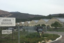 An Odor-Control Pact with Carpinteria Cannabis Growers Breaks Down