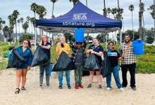 Ocean Ambassador Beach Cleanups