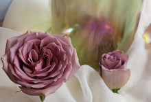 Gentle Sound for Caregivers