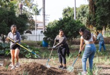 Volunteer Day | Alice Keck Park Memorial Garden