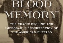 Book Review | ‘Blood Memory: The Tragic Decline and Improbable Resurrection of the American Buffalo’ by Dayton Duncan and Ken Burns