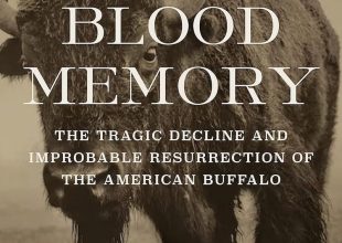 Book Review | ‘Blood Memory: The Tragic Decline and Improbable Resurrection of the American Buffalo’ by Dayton Duncan and Ken Burns