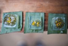 Where to Find California’s Native Plants in Your Beer