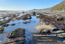 Santa Barbara Channelkeeper’s January Board Walk
