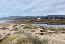 Guided Tour of Coal Oil Point Reserve