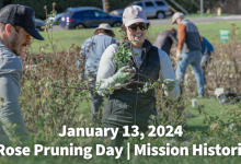Rose Pruning Day | Mission Historical Park
