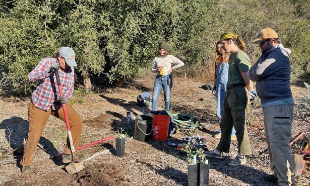 New California Native Plant Landscaper Certification Course Offered by Santa Barbara Botanic Garden