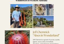 SBCHS Meeting – Wildflowers of Western Australia