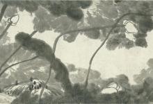 Lecture: Contemplating Nature