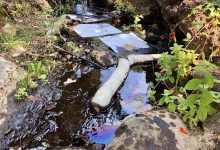 Toro Canyon Oil Spills: Santa Barbara County Pleads Guilty to Criminal and Civil Charges