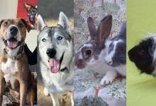 Bubba, Woody, Enrico, Bobby and Sam