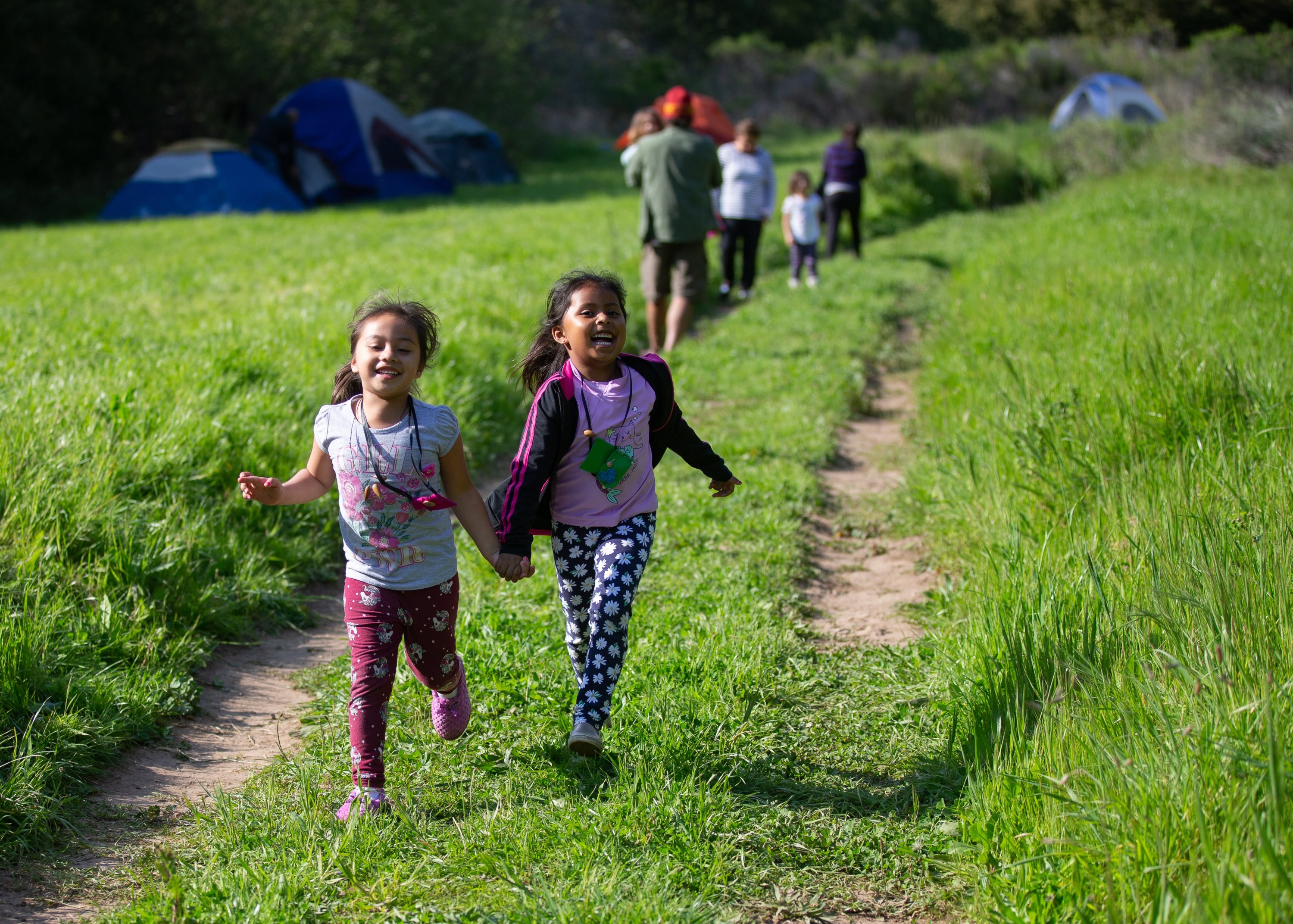 NatureTrack and Wilderness Youth Project Receive Nearly $400,000 in ...