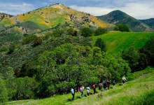 NatureTrack and Wilderness Youth Project Receive Nearly $400,000 in State Grants 