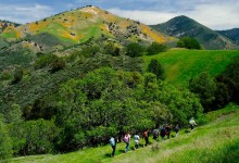 NatureTrack and Wilderness Youth Project Receive Nearly $400,000 in State Grants 