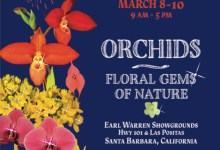 76th Annual Santa Barbara International Orchid Show