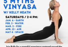 5 Elements 5 Myths Vinyasa