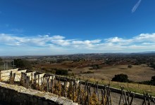 Full Belly Files | The Many Paradises of Paso Robles