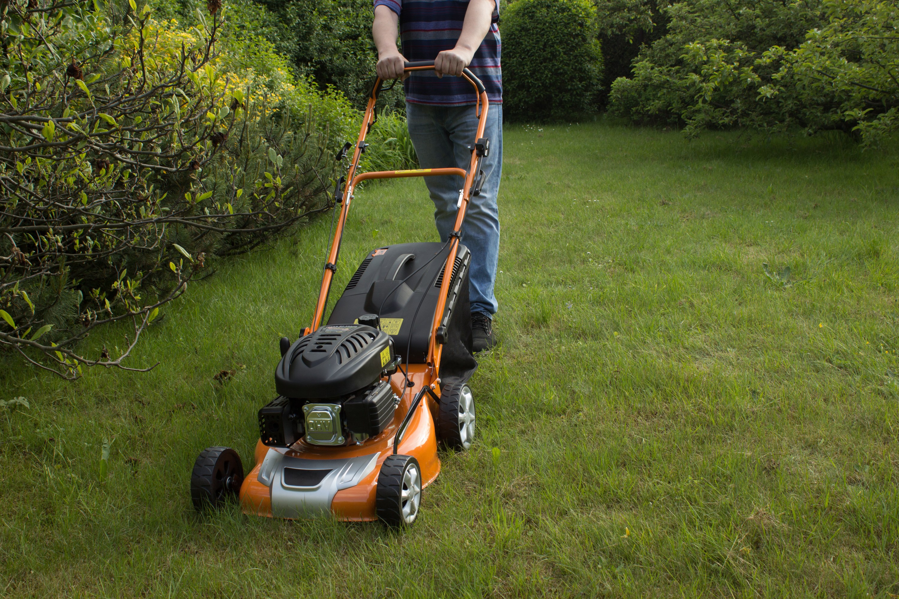 New California Laws Aim to Make Golden State Greener in 2024 The