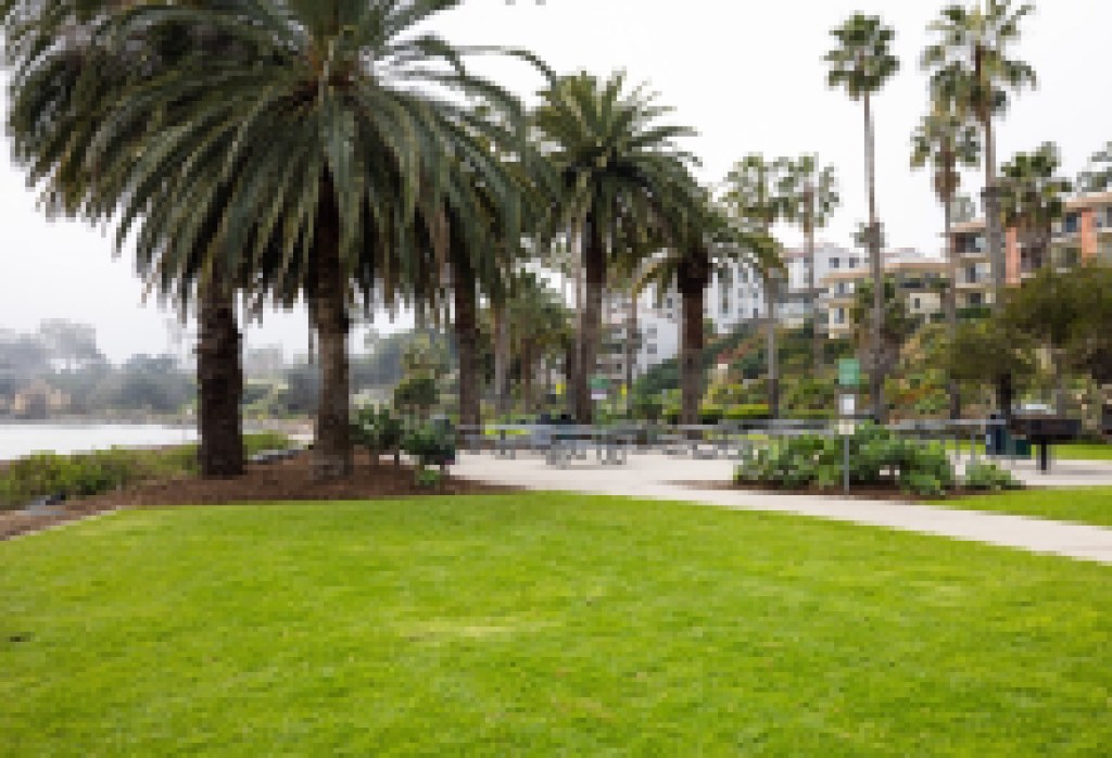 Leadbetter Beach reabre después de una importante renovación del césped y mejoras adicionales