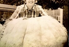 Mary Susan Triplett Ayers