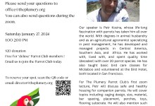 The Plumery Parrot Club Zoom Lecture/Q&A Series