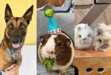 Terry, Darwin, Joe B. & Scott