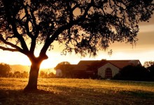 Exploring Paso Robles