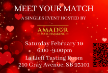 Meet your Match Valentine’s Party 2024!