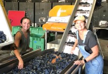 Wilson Women Grow and Make Wine